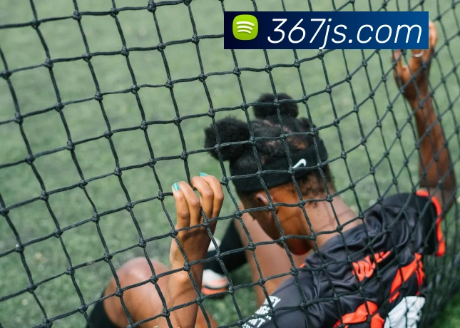 金沙国际官网平台生态图